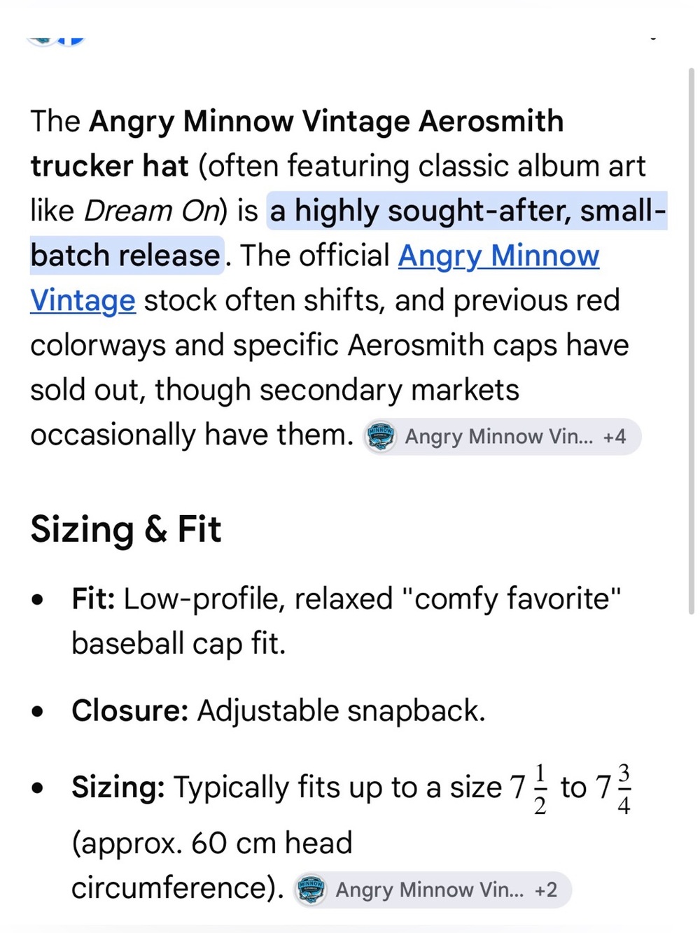 Angry Minnow Vintage Aerosmith Red Wing Trucker Hat RARE - Picture 10 of 10